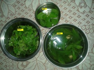 tulsi for skin care