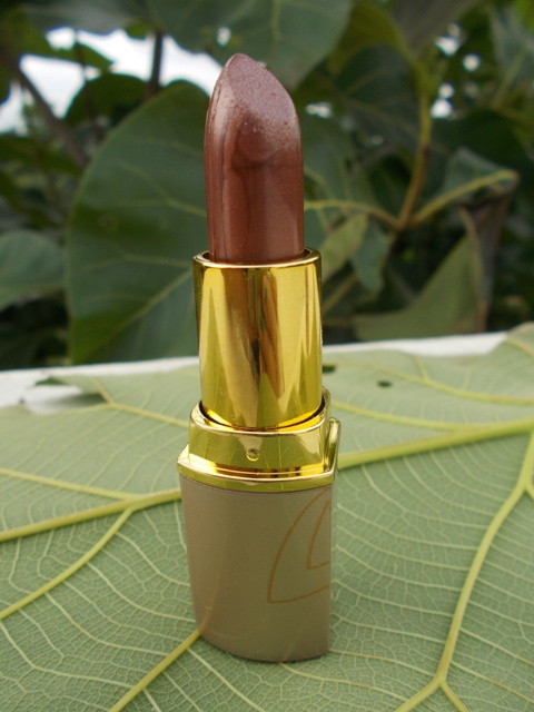 Lotus Herbals Pure Colors Lipstick – Burnt Siena (3)