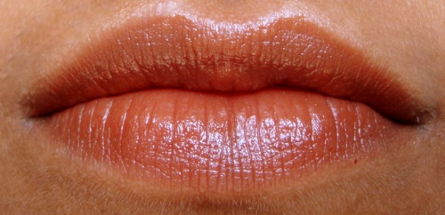 best-brown-lipstick-9