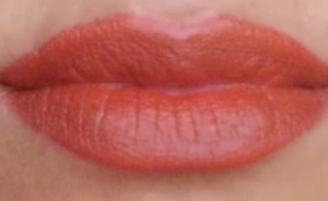 brick lipstick 1