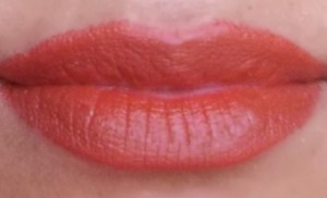 brick lipstick