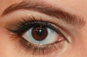 smoky brown eyes (1)