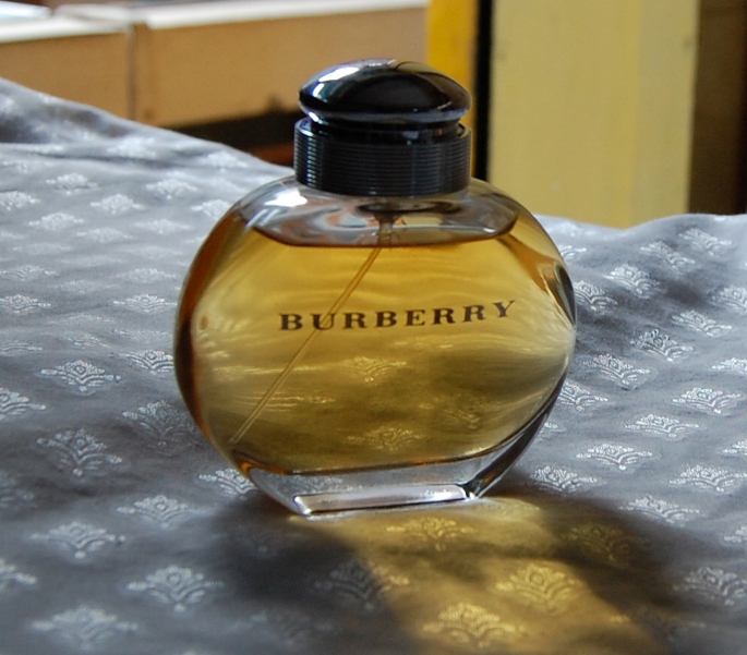 Burberry Classic For Women Eau De Parfum 14