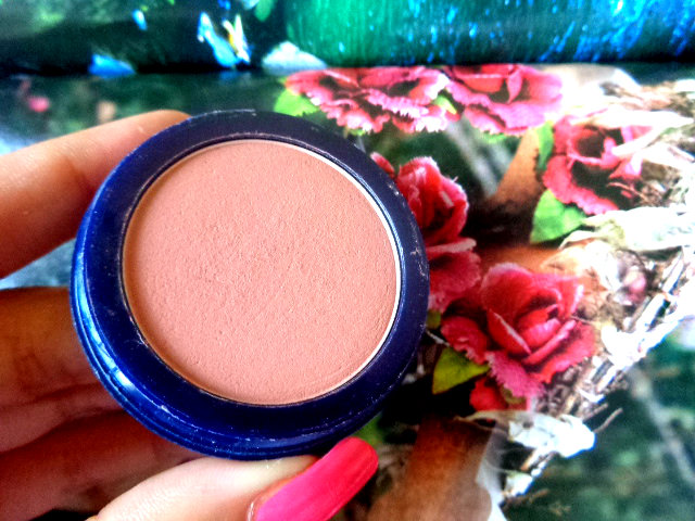 Estée Lauder blush all day natural cheek colour 16-Desert (3)