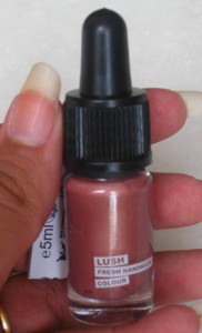 Lush Liquid Lipstick - Perspective