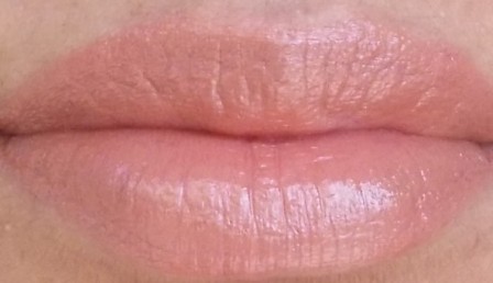 brown lipsticks2