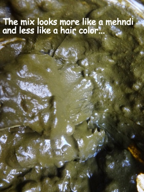 Shahnaz Hussain Colorveda Natural Hair Color Review Indian Makeup