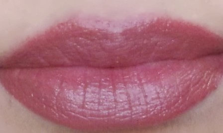 brown lipstick (2)