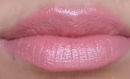brown lipstick (4)