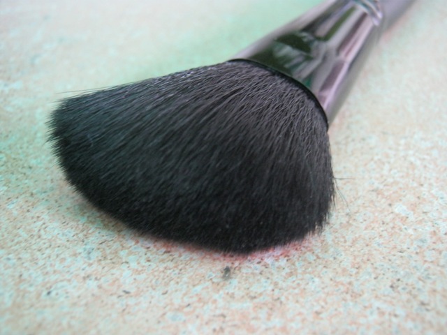 e.l.f. Studio Angled Blush Brush (7)