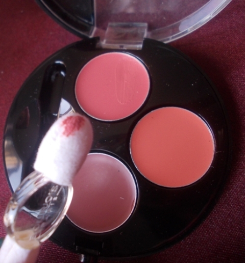 Bourjois Colorissimo Lips Palette 04 Nudes Dandy (5)
