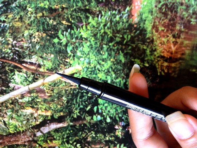 Maybelline Eyestudio Master Precise Ink Pen Eyeliner 5