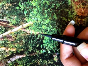 Maybelline Eyestudio Master Precise Ink Pen Eyeliner5