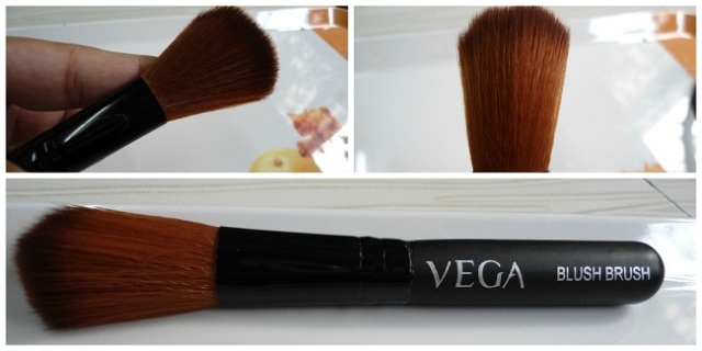 Vega Set of 5 brushes travel kit (4)