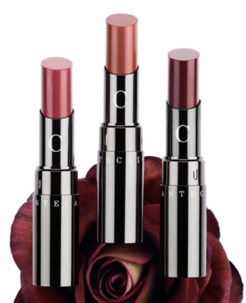 luxury lipsticks (5)