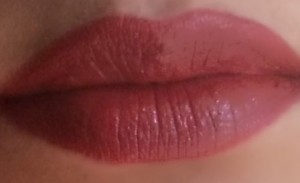 brick lip color2