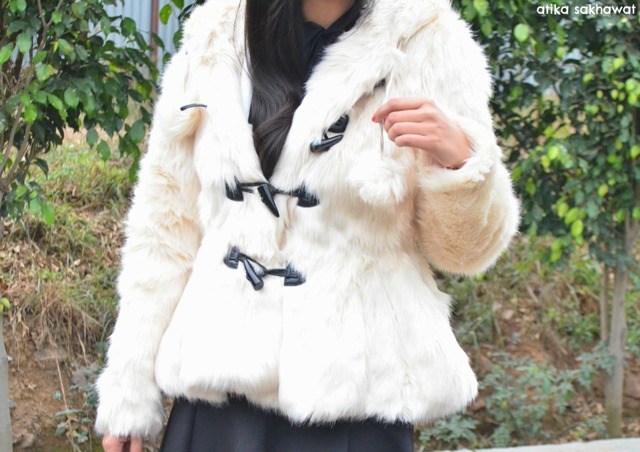 fur_coat_and_skater_skirt_outfit__4_