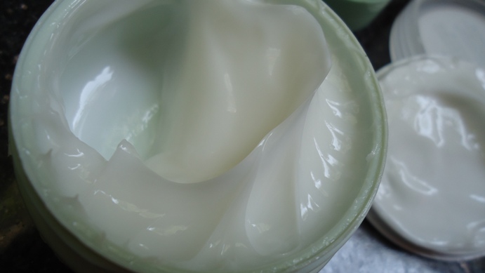 The_Body_Shop_Aloe_Soothing_Day_Cream_14
