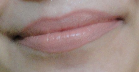 CoverGirl_Lip_Perfection_Lipstick_Delish__swatches__3_