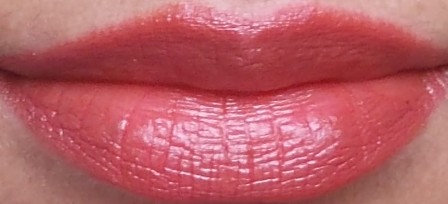 brick lipstick
