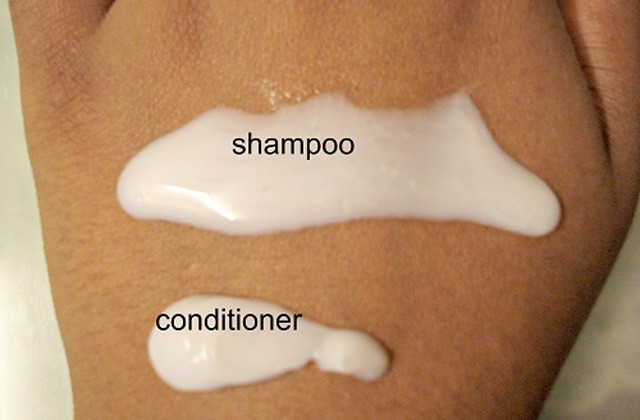 Wella Pro Series Shine Shampoo and Conditioner