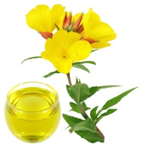 Beauty Benefits of Evening Primrose Oil  (1)