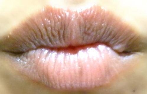 Eva Fresh Lips Fresh Mint Moisturising Lip Balm Review