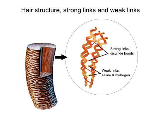 How to Prevent Hair Loss And Breakage Due To Smoothing
