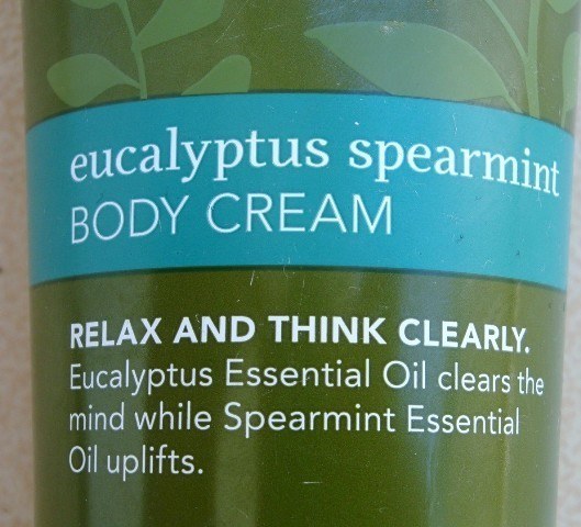 Bath and Body Works Eucalyptus Spearmint Aromatherapy Body Cream Review (1)