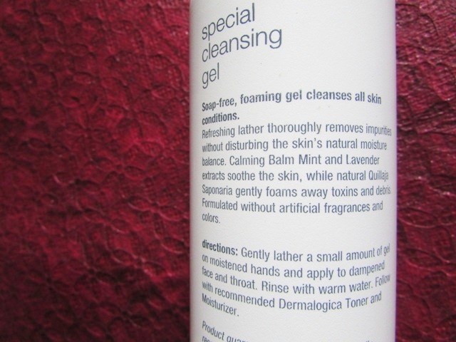 Dermologica Special Cleansing Gel  (5)
