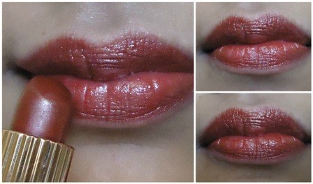 Estee Lauder Spiced Cider Signature Hydra Lustre Lipstick  (1)