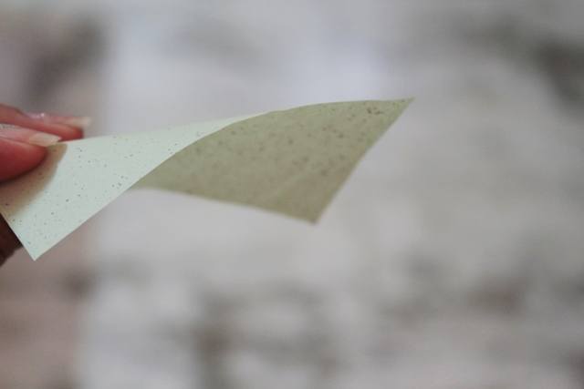 nyx green tea blotting paper  (10)