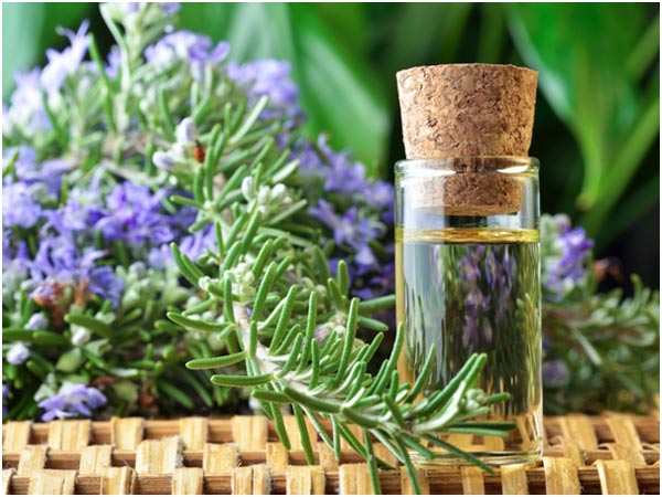 Complete Guide To Pre-Mature Greying Of Hair Rosemary