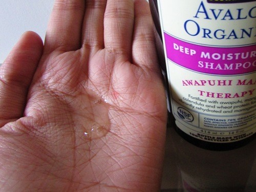 Avalon Organics Awapuhi Mango Therapy Deep Moisturizing Shampoo Review4