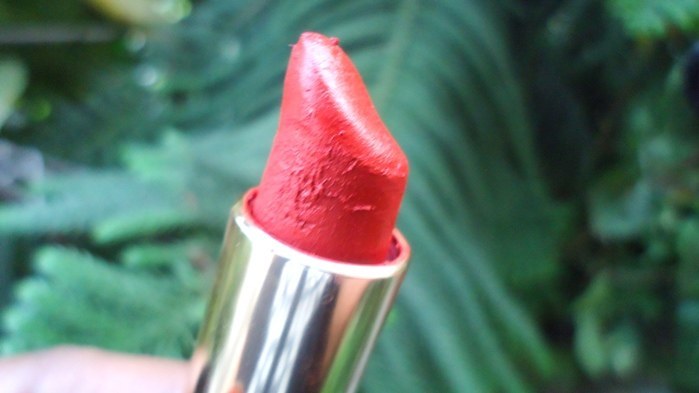 L’Oreal Paris Color Riche Pure Reds Star Collection Pure Brick Lipstick Review3