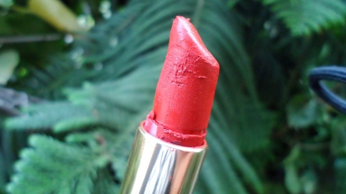 L’Oreal Paris Color Riche Pure Reds Star Collection Pure Brick Lipstick Review4