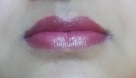 Palladio Herbal Lipstick in Rosey Plum10