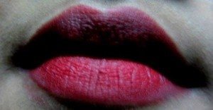 Chambor Black Cherry Powder Matte Lipstick  (41)