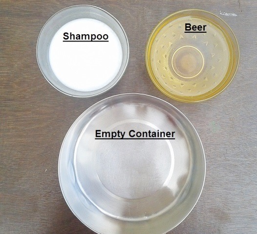 Make Your Own Beer Shampoo Do-it-Yourself (1)