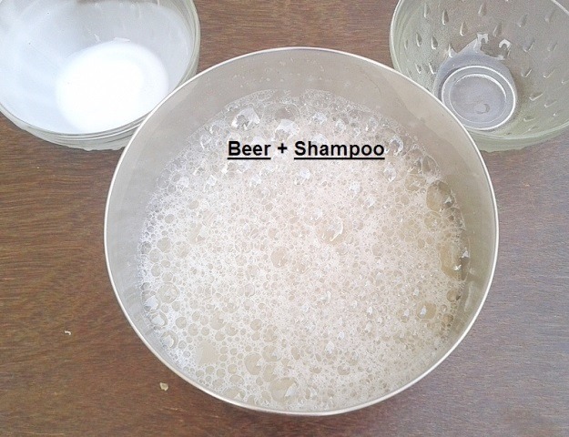 Make Your Own Beer Shampoo Do-it-Yourself (4)
