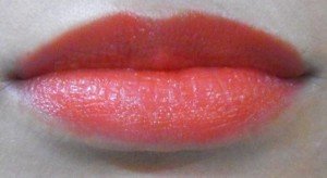 Makeup Academy Lipstick Coral Flush  (13)