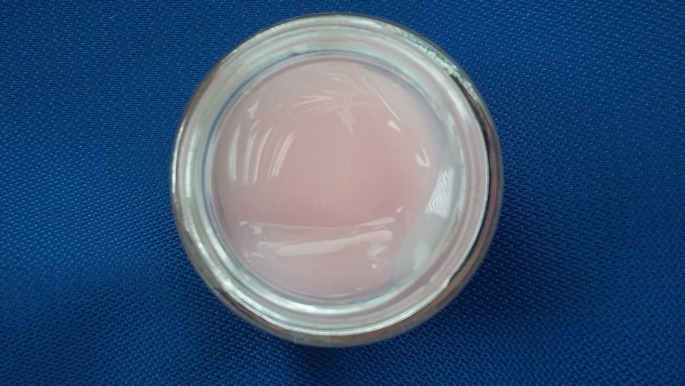 Garnier Moisture Rescue Refreshing Gel Cream For Dry Skin