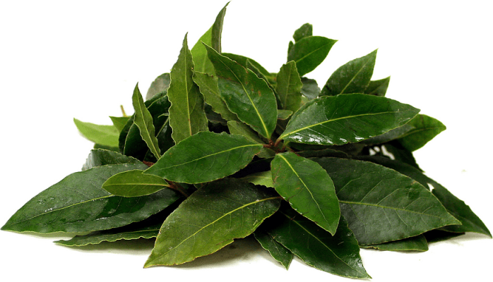 Beauty Benefits of Bay Leaves2