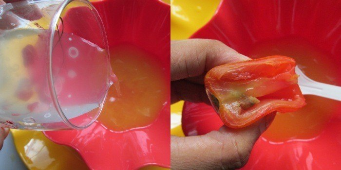 DIY Tan Removal Pack with Tomato, Carrot Juice and Detox Water4