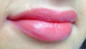Makeup Revolution We Have Come Too Far Lip Hug lipswatch