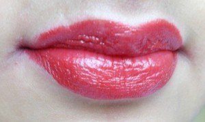 chambor orosa 505 savage lip perfection lipstick8