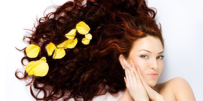 7 Herbs That Improve Your Hair Health Miraculously