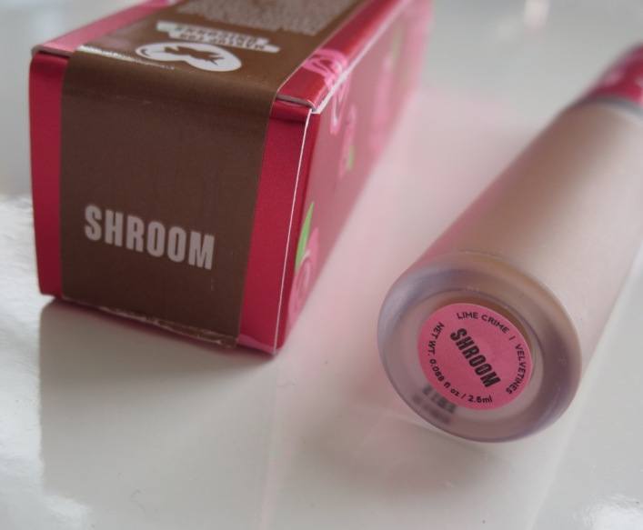 6 ml Big Brush cosmétique Lipgloss emballage vide Lip Gloss tube - Chine  2.5ml lèvre ronde, tube vide Glaze