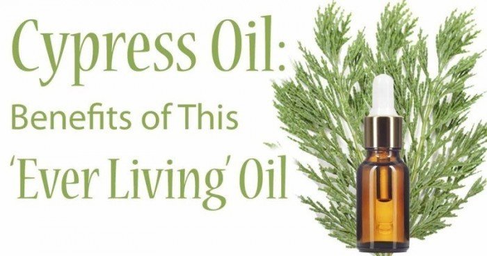 8 Overall Benefits of Cypress Essential Oil