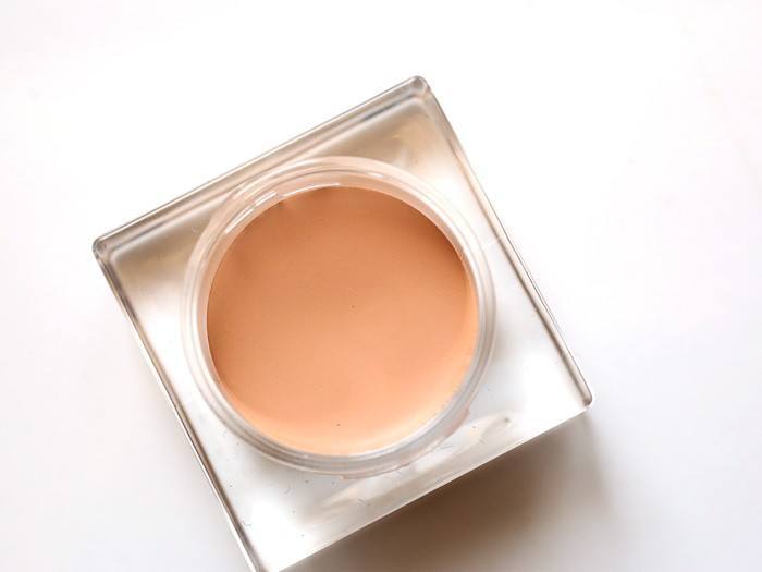 chantecaille-total-concealer-review-3
